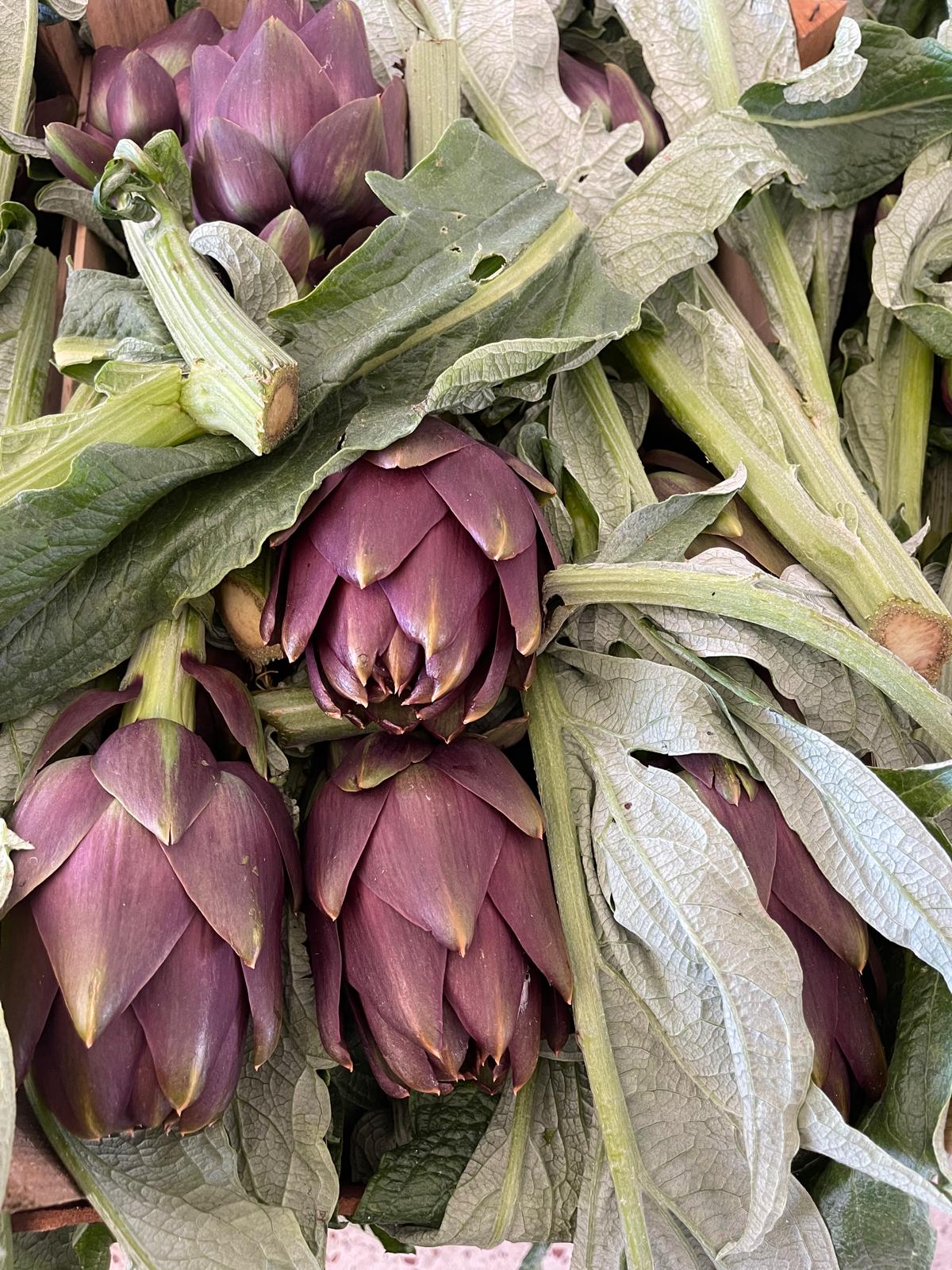 carciofi siciliani all'ingrosso - F.lli Monastero Sciacca